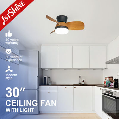 Αγορά 110-240V/50Hz-60Hz Διακοσμητικός ανεμιστήρας οροφής LED με χρωματικές λεπίδες μεταφοράς νερού και φώτα ηλεκτρονική κατασκευή